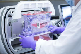 东升国际官网-追求康健,你我一起生长